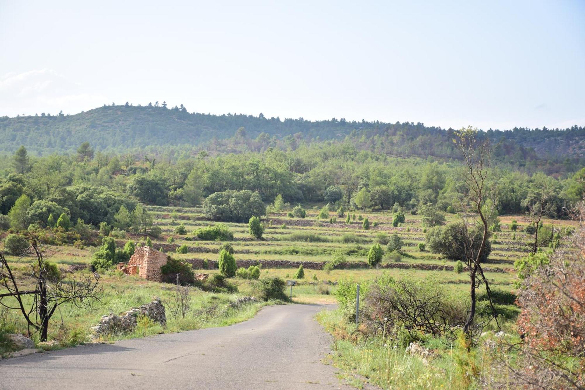 Los Pastores Oasis Rural 빌라 외부 사진